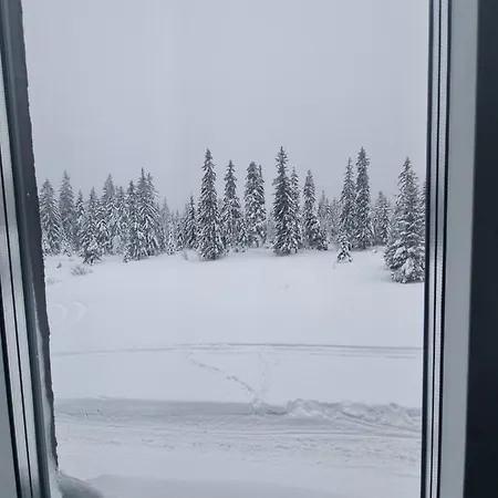 Apartment Forest 38 Jahorina